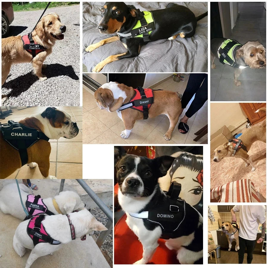 PawSecure™ – No-Pull Reflective Dog Harness Breathable & Adjustable with Custom ID TagPatch Outdoor Walking Dog Supplies