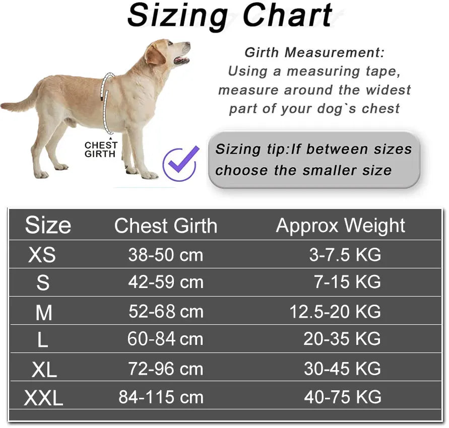 PawSecure™ – No-Pull Reflective Dog Harness Breathable & Adjustable with Custom ID TagPatch Outdoor Walking Dog Supplies