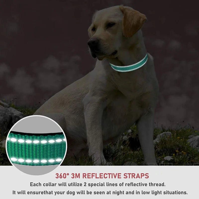 SafePaw™ – Reflective Adjustable Dog Collar Durable Safety Traction Strap