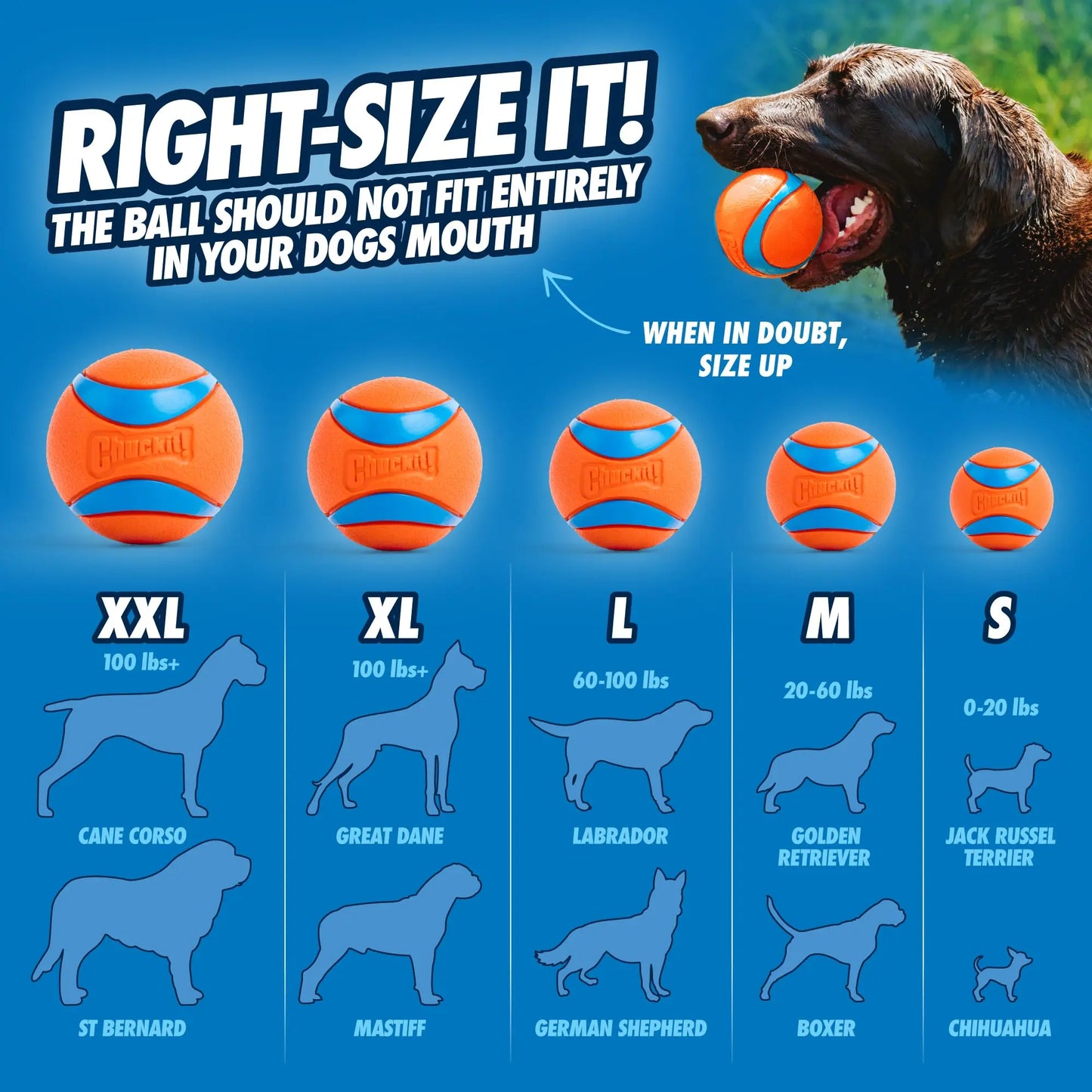 Chuckit! Ultra Dog Ball – Tough Rubber Fetch Ball, Floats on Water