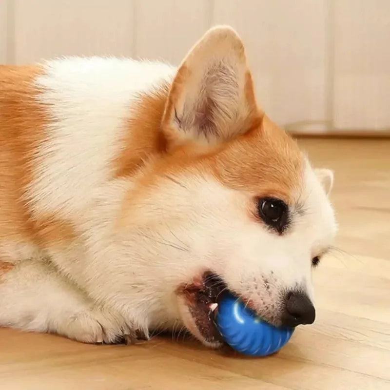Bounce Buddy™ – Smart Dog Toy Ball