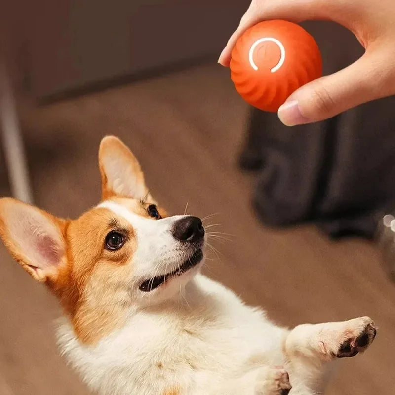 Bounce Buddy™ – Smart Dog Toy Ball